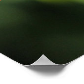 （鳥）ショウジョウコウカンチョウ ポスター (角)