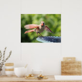 （鳥）ショウジョウコウカンチョウ ポスター (キッチン)