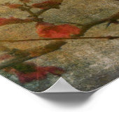 （鳥）ショウジョウコウカンチョウ ポスター (角)