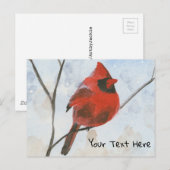 （鳥）ショウジョウコウカンチョウ ポストカード (正面/裏面)