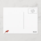 （鳥）ショウジョウコウカンチョウ ポストカード (裏面)