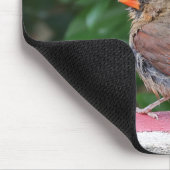 (鳥)ショウジョウコウカンチョウ マウスパッド (コーナー)