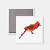 （鳥）ショウジョウコウカンチョウ マグネット (正面/裏面)