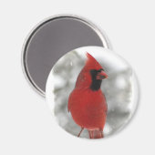 （鳥）ショウジョウコウカンチョウ マグネット (正面/裏面)