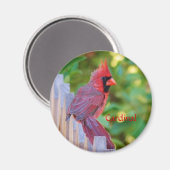 (鳥)ショウジョウコウカンチョウ マグネット (正面/裏面)