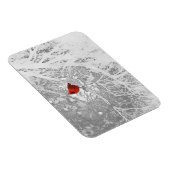 （鳥）ショウジョウコウカンチョウ マグネット (右側)