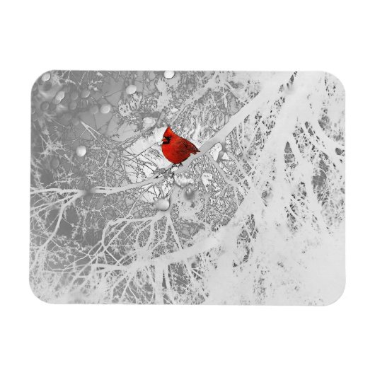 （鳥）ショウジョウコウカンチョウ マグネット (横)