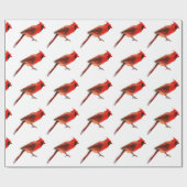 （鳥）ショウジョウコウカンチョウ ラッピングペーパー (フラット)
