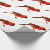 （鳥）ショウジョウコウカンチョウ ラッピングペーパー (コーナー)