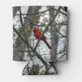 （鳥）ショウジョウコウカンチョウ 缶クーラー (正面)