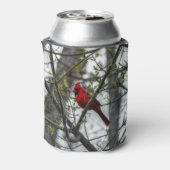 （鳥）ショウジョウコウカンチョウ 缶クーラー (缶裏面)