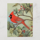 （鳥）ショウジョウコウカンチョウ-自然バードアートカード ポストカード (正面)