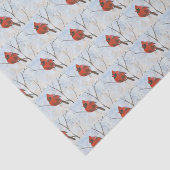 （鳥）ショウジョウコウカンチョウ 薄葉紙 (詳細)