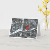 （鳥）ショウジョウコウカンチョウ（雪の枝） カード (黄色い花)