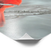 （鳥）ショウジョウコウカンチョウ（雪8インチx 10インチ） フォトプリント            (角)