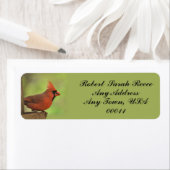 （鳥）ショウジョウコウカンチョウ-4 ラベル (インサイチュ)