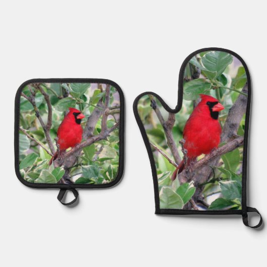 （鳥）ショウジョウコウカンチョウ- Backyard Bird Series - 鍋つかみ&鍋敷きセット (正面)