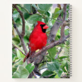 （鳥）ショウジョウコウカンチョウ(Bird)ノートブック， 8.5 x 11 + ノートブック (裏面)