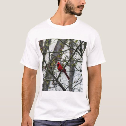 (鳥)ショウジョウコウカンチョウ Tシャツ (正面)