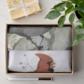 (鳥)ショウジョウコウカンチョウCatbirdヴィンテージ鳥の分離自然 薄葉紙 (ギフト)