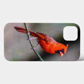 (鳥)ショウジョウコウカンチョウiPhone 6/6s、タフXtreme電話ケース Case-Mate iPhoneケース (裏面 (横))