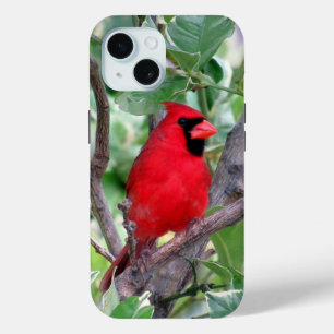 （鳥）ショウジョウコウカンチョウiPhone / iPadケース iPhone 15ケース