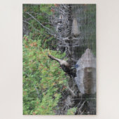 鳥 ジグソーパズル (縦)