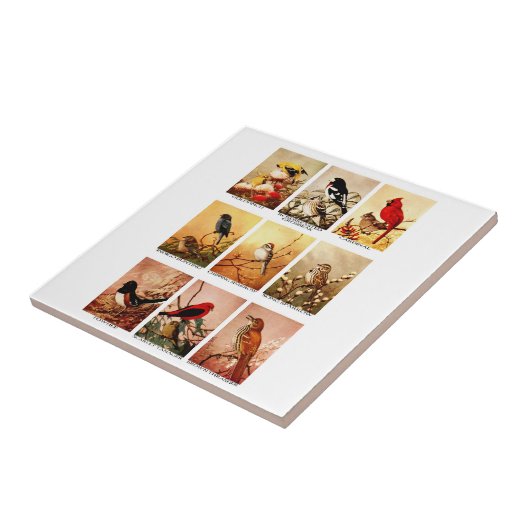 鳥 タイル (側面)