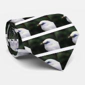 鳥 ネクタイ (ロール)