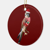 《鳥》ハヤブサとハットスカフクリスマス セラミックオーナメント (左)