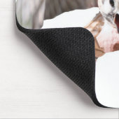 《鳥》ハヤブサのマウスパッド マウスパッド (コーナー)