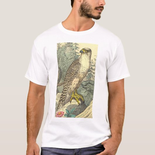 《鳥》ハヤブサのワイシャツ Tシャツ (正面)