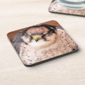 《鳥》ハヤブサの猛禽 コースター (左側)