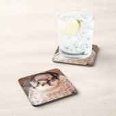 《鳥》ハヤブサの猛禽 コースター (右側)