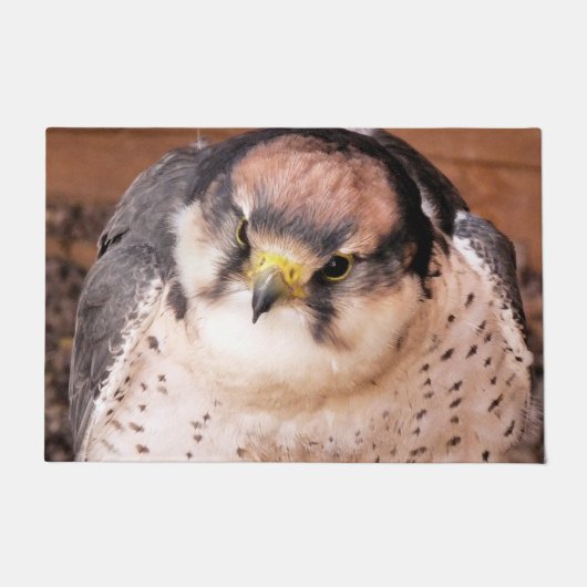 《鳥》ハヤブサの猛禽 ドアマット (正面)