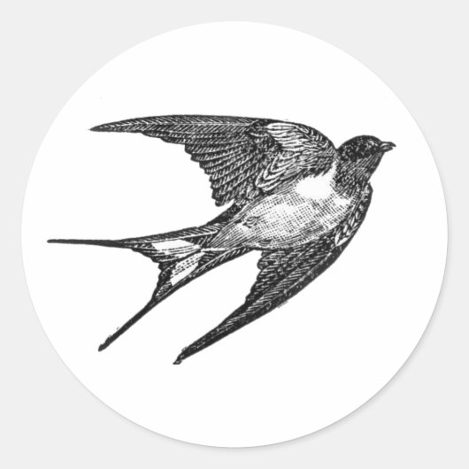 《鳥》ハヤブサの白いバックラウンドのシール ラウンドシール (正面)