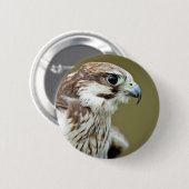 《鳥》ハヤブサの終わり肉食鳥 缶バッジ (正面&裏面)