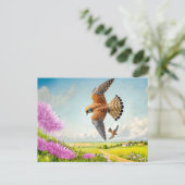 《鳥》ハヤブサを山斜面に シーズンポストカード (スタンド正面)