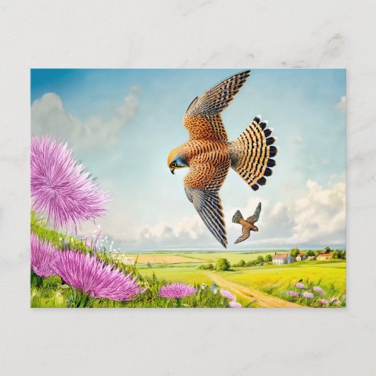 《鳥》ハヤブサを山斜面に シーズンポストカード (正面)