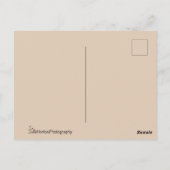 《鳥》ハヤブサクローズアップ ポストカード (裏面)