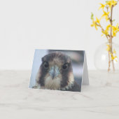 《鳥》ハヤブサノテカード カード (黄色い花)