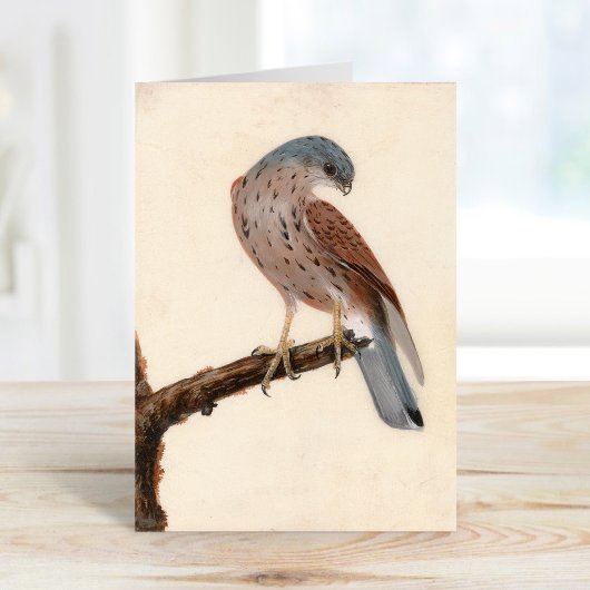 《鳥》ハヤブサヘンケストレル | ウィリアム・リーウィン カード
