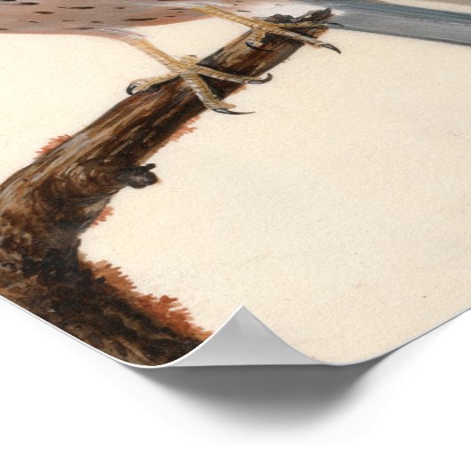 《鳥》ハヤブサヘンケストレル | ウィリアム・リーウィン ポスター (角)