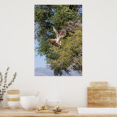 《鳥》ハヤブサポスター ポスター (キッチン)