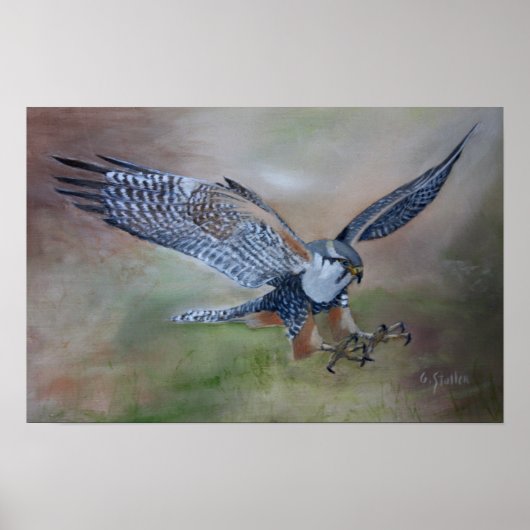 《鳥》ハヤブサポスター ポスター (正面)