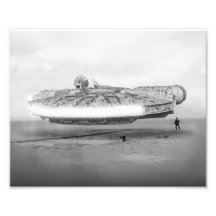 《鳥》ハヤブサ初飛行