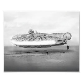 《鳥》ハヤブサ初飛行 フォトプリント           