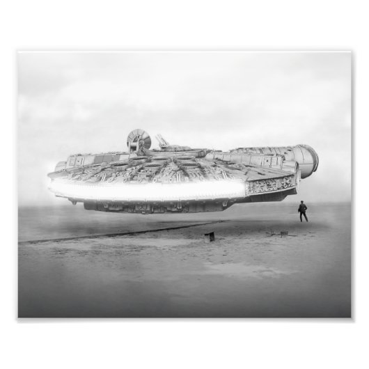 《鳥》ハヤブサ初飛行 フォトプリント            (正面)