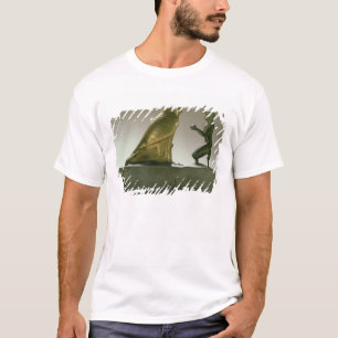 《鳥》ハヤブサ神を崇拝する王のTaharqa彫像 Tシャツ