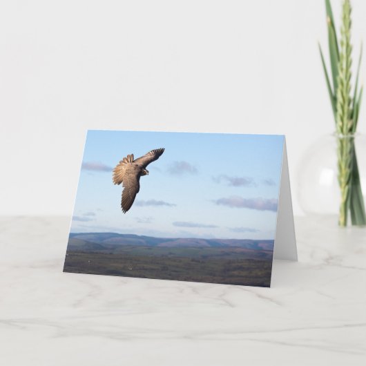 《鳥》ハヤブサ飛行 カード (正面)